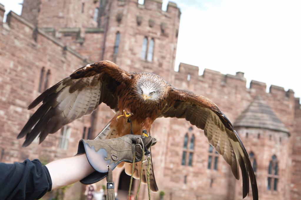 Peckforton Castle Tarporley Exterior photo